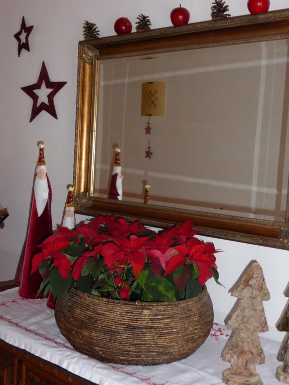 Gaestehaus Larch Алпбах Екстериор снимка